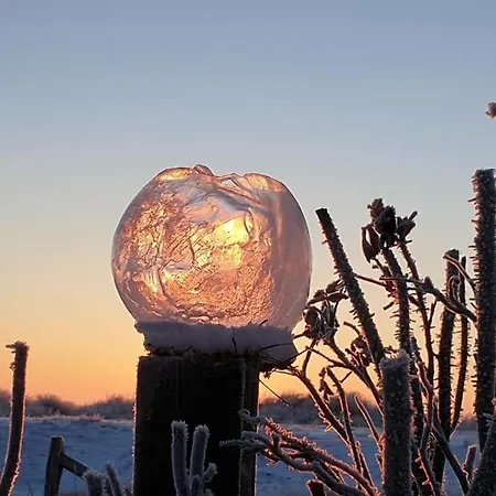 別荘 Right Next To The