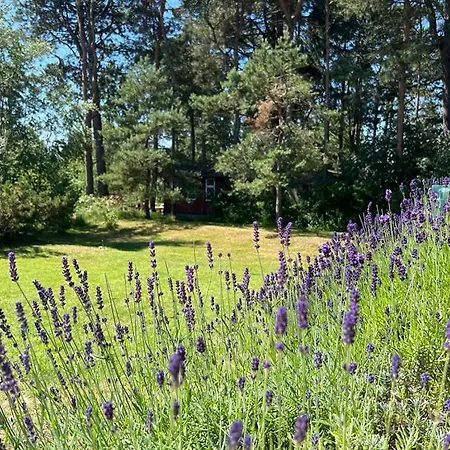 別荘 Right Next To The Bøtø By